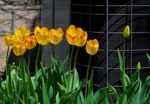 Spring Forward: Why This Is the Best Time to Install a New AC System