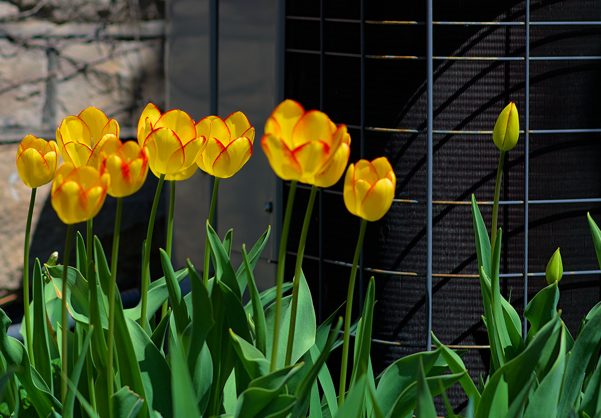 Spring Forward: Why This Is the Best Time to Install a New AC System